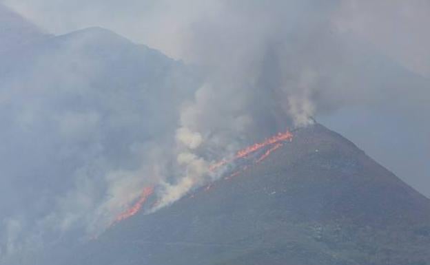 El incendio de la Tebaida arrasó 1.300 hectáreas./César Sánchez