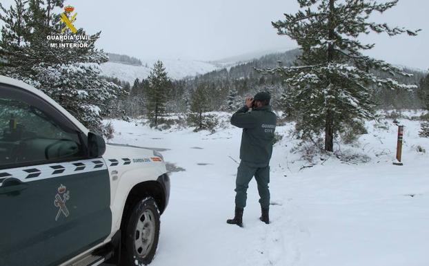 La Guardia Civil, durante las labores de búsqueda de la peregrina./