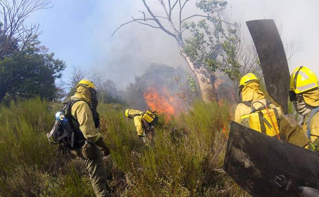 Imagen del incendio./ATBRIF