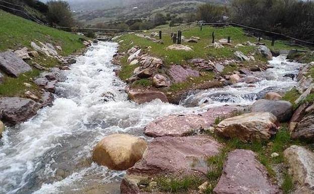El arroyo Alcedo, que llegó a perder 9,7 los litros por segundo a través de 30 socavones.