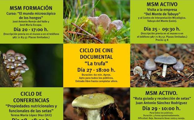 Cartel de la actividad./