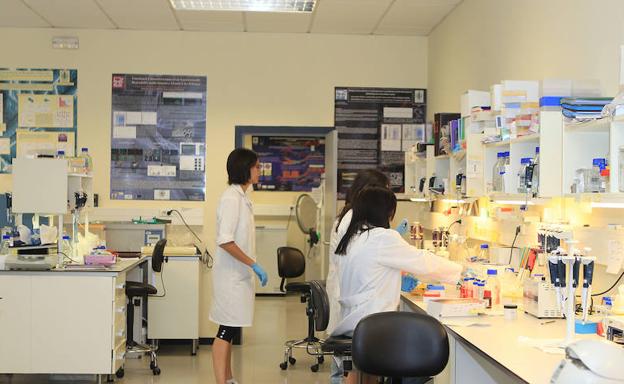 Laboratorio de la facultad de Ciencias de la Universidad de Valladolid/HENAR SASTRE