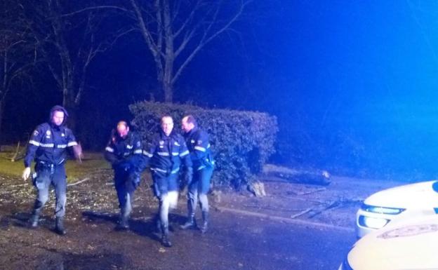 Efectivos de la Policía Local de León tras retirar un árbol caído.