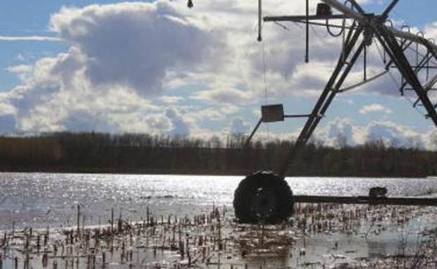Asaja califica 2017 como «el peor año de la historia para la agricultura y la ganadería»