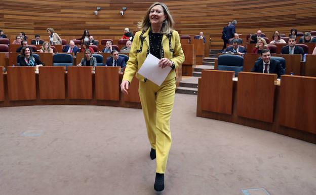 Pilar del Olmo, consejera de Economía, en las Cortes./Cacho