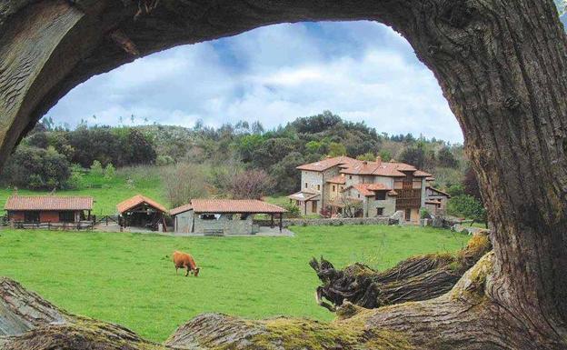 Aletur y CEL se unen para seguir apostando en este turismo./