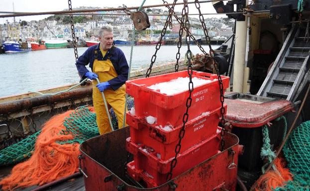 Un pescador trabaja en el puerto de Brixham. /Joe Jackson (Afp)