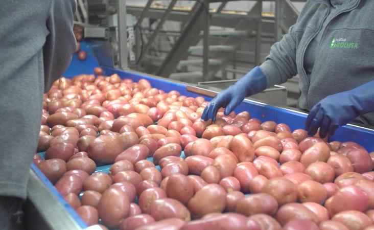 Selección de producto en la firma leonesa Patatas Hijolusa.