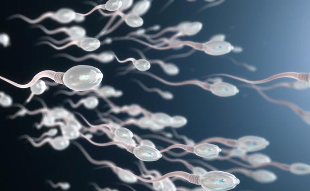 Algunos hombres que tuvieron el virus covid-19 podrían experimentar una disminución de la producción de esperma y de la fertilidad.