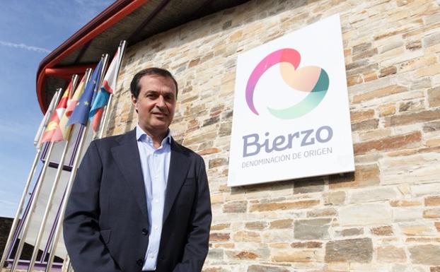 Adelino Pérez, nuevo presidente de la DO Bierzo./César Sánchez