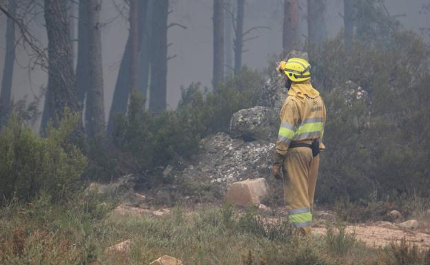 Incendio en la Sierra de la Culebra, en Zamora.