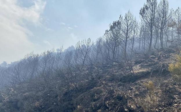 Superficie arrasada por el incendio en Montes de Valdueza./JLB