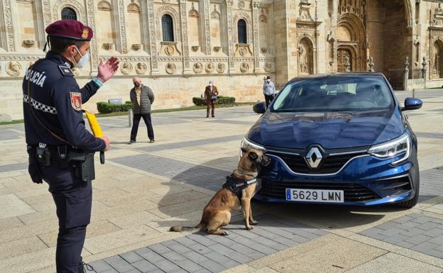 Una de las exhibiciones llevadas a cabo en San Marcos.