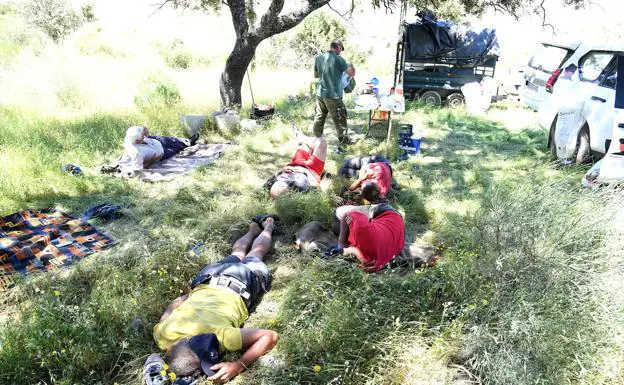 El grupo reposa la comida a la sombra de tres viejas encinas y junto al arroyo Helechoso.