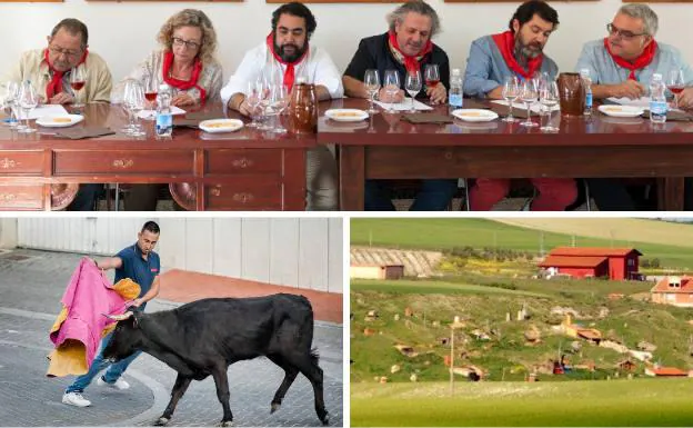 Arriba, edición pasada de la cata de los vinos cosecheros de la localidad. Debajo, un joven efectúa un lance de capote durante un encierro y panorámica del barrio de bodegas La Horca.