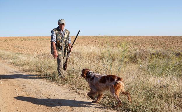 Un hombre llama a su perro tras cazar una pieza. /Ical