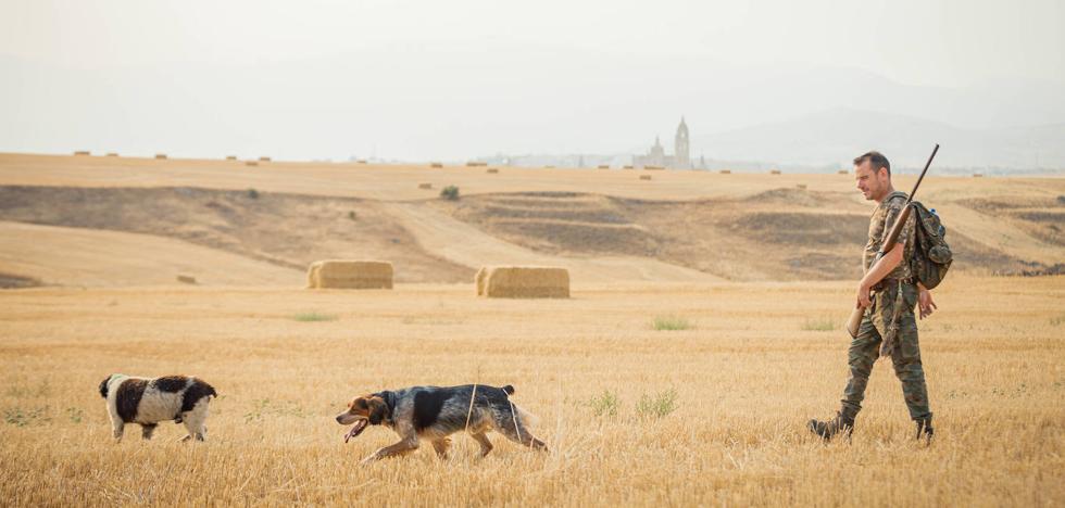 Los cazadores lamentan una jornada «bastante floja» de codorniz y critican el «grave error» de la prohibición para la tórtola - Vimarsana News