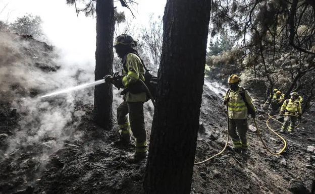 Efectivos de los bomberos de la Junta de Andalucía continúan las labores para evitar que el incendio se reproduzca. /SALVADOR SALAS