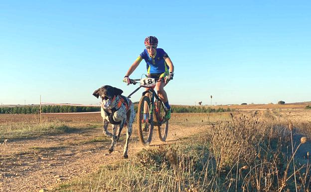 Los perros son protagonistas en Valdefresno.