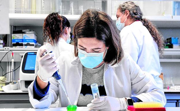 Científicas realizan ensayos en un laboratorio del Instituto de Biología y Genética Molecular, asociado al CSIC. /EFE