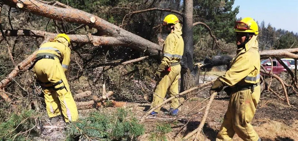 Más de cinco millones de euros para cuadrillas helitransportadas para la lucha contra incendios forestales en León, Salamanca y Zamora
