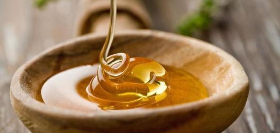 COAG estima redução na colheita de mel de mais de 40% devido aos efeitos da seca