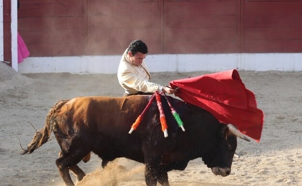 Imagen de una corrida de toros en una plaza riojana/SONIA TERCERO